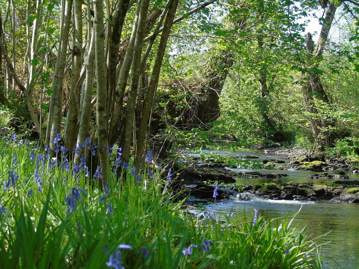 Country house Pwllgwilym Builth Wells