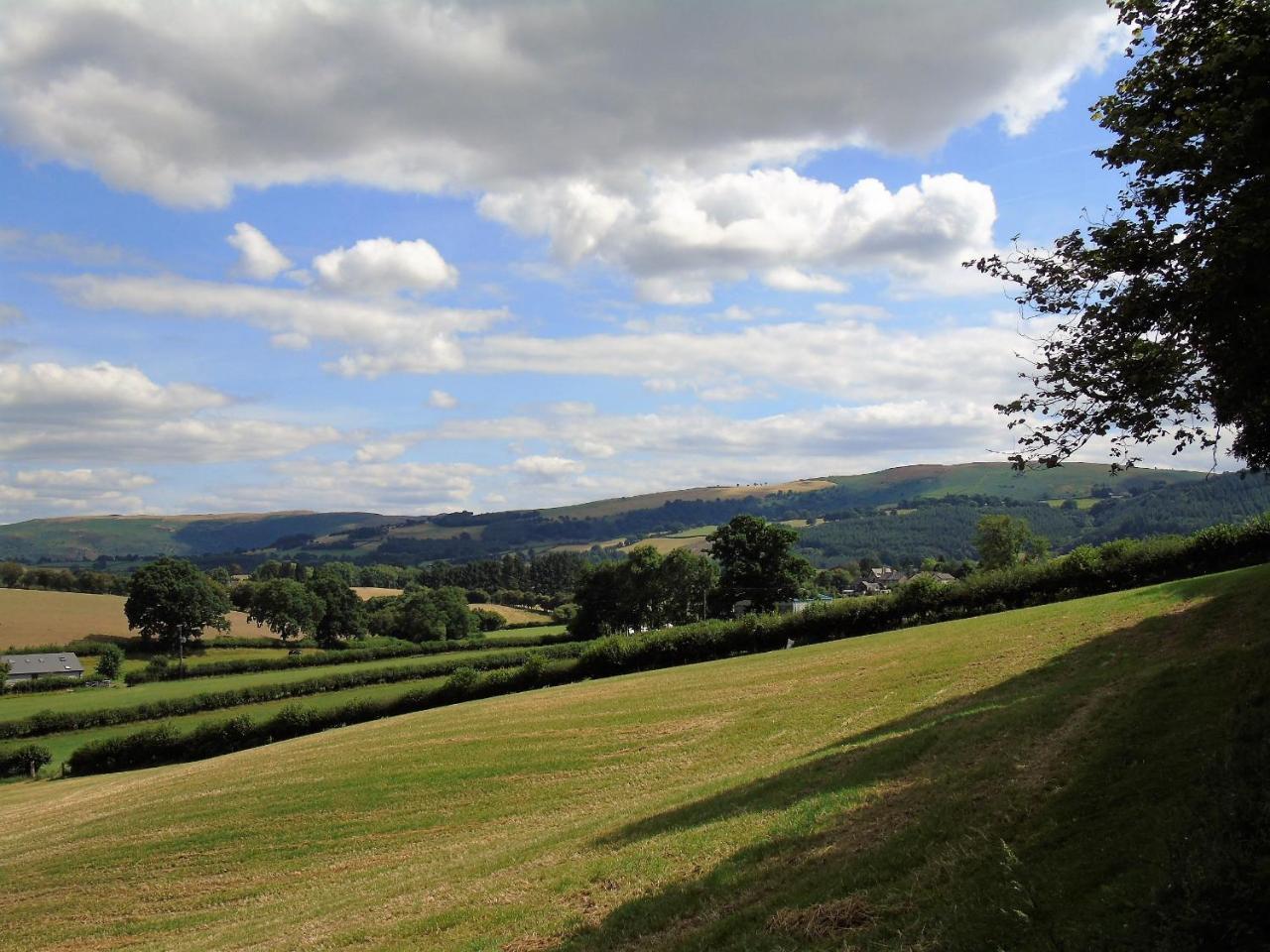 Pwllgwilym *