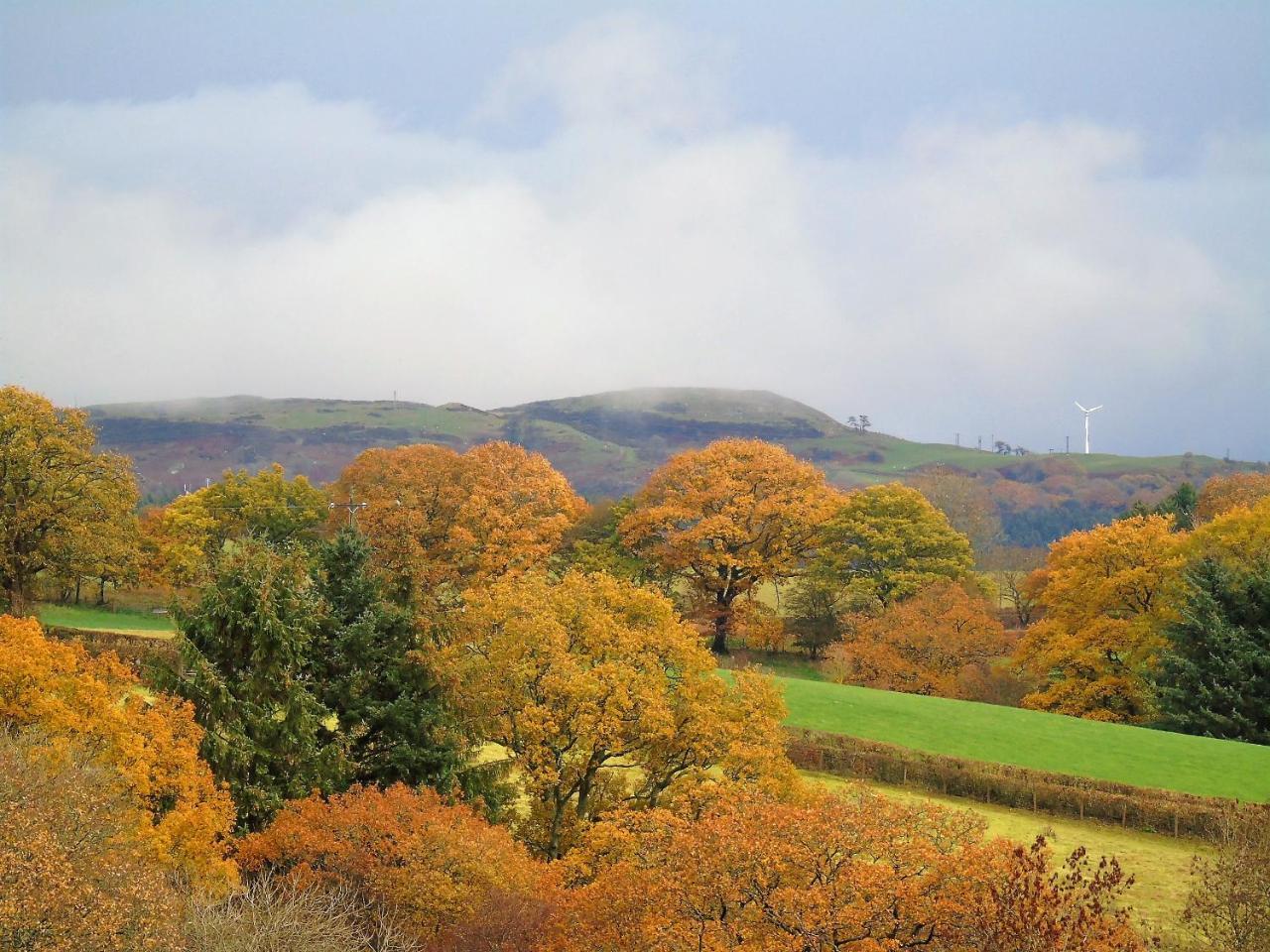 Country house Pwllgwilym